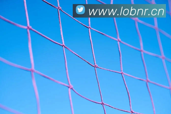 星空官方网站服务体系